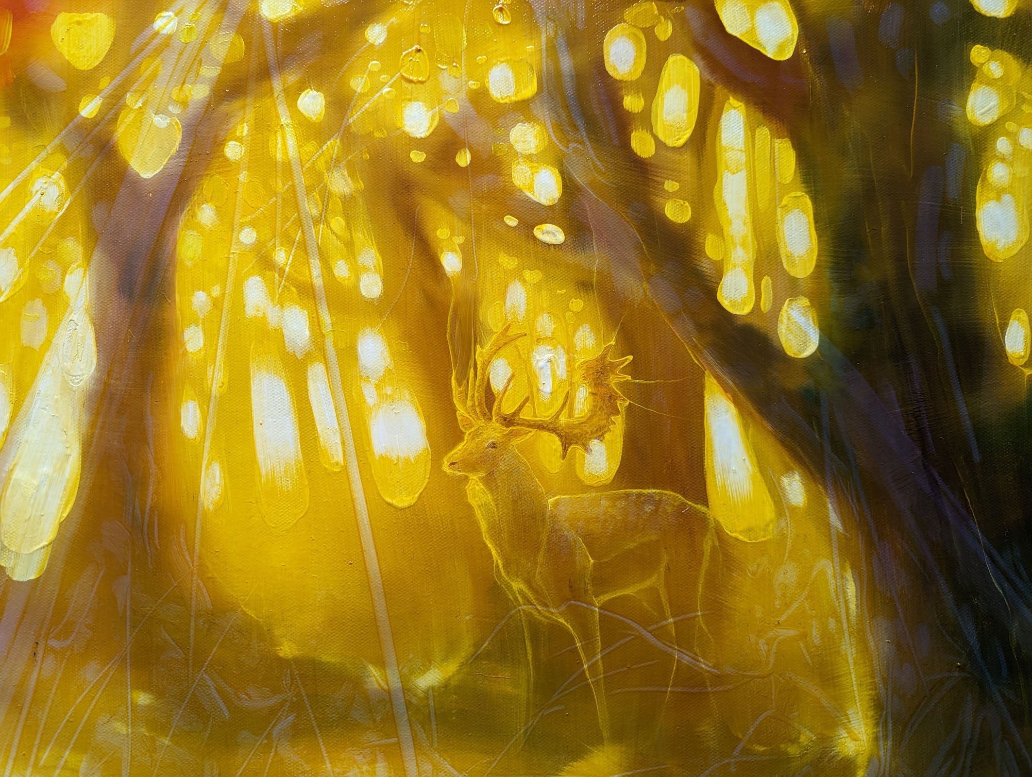 Natures Cathedral