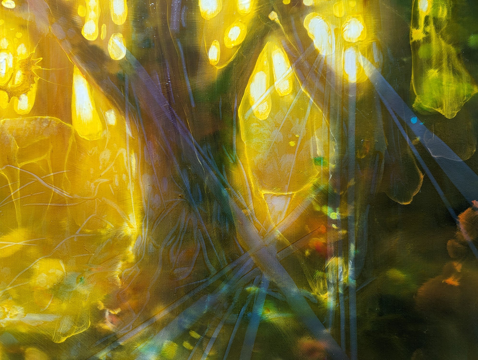 Natures Cathedral